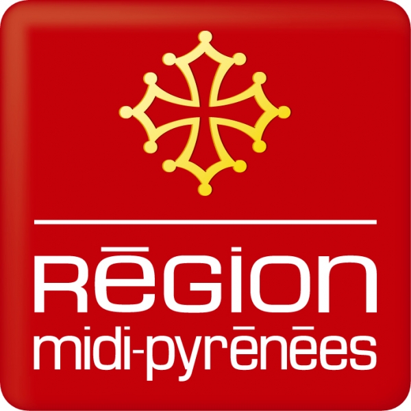 Instruments financiers - Région Midi-Pyrénées